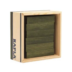 Holzplättchen 40er Kasten grün