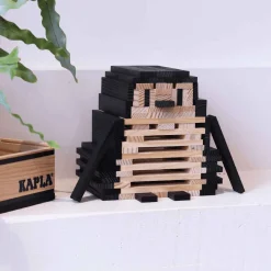 Holzplättchen 40er Kasten schwarz