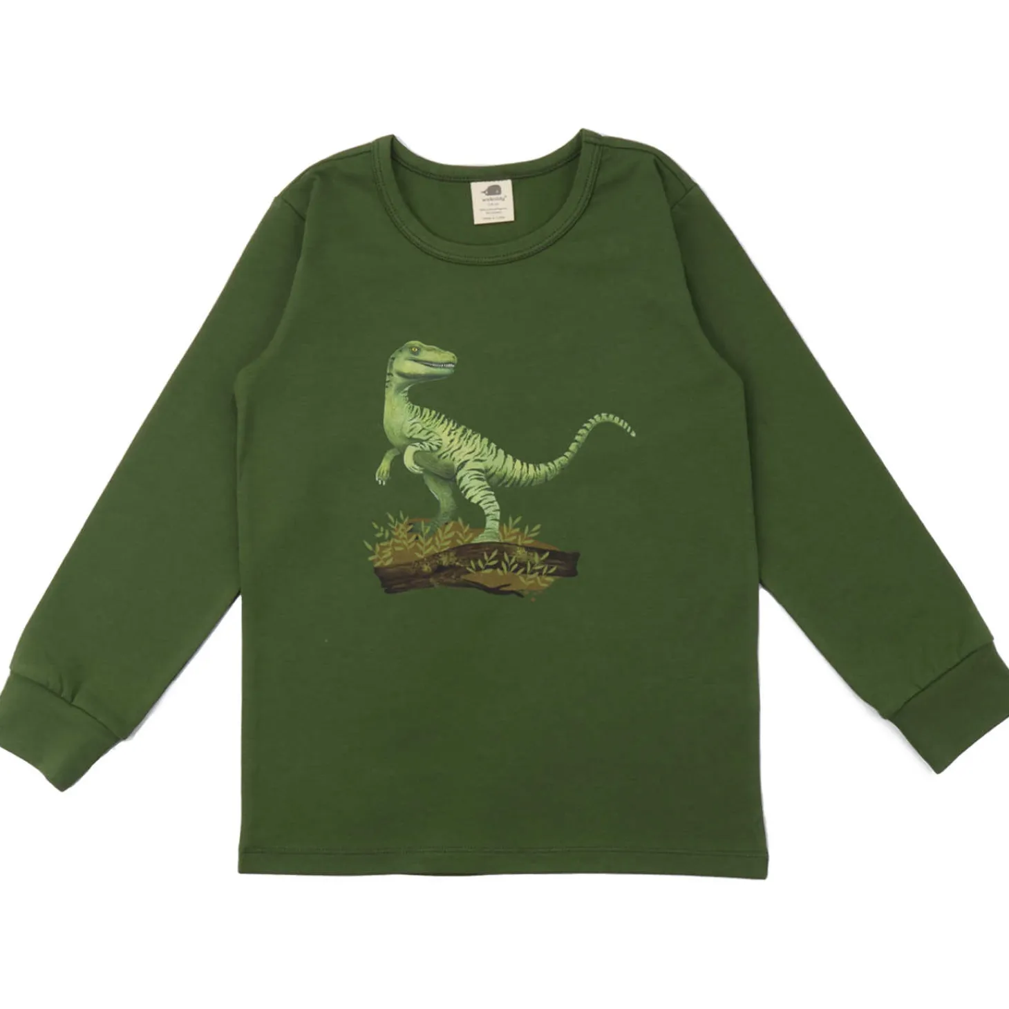 Schlafanzug "Dinosaurier" 98
