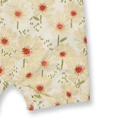 Spieler "Flowers" natur 86