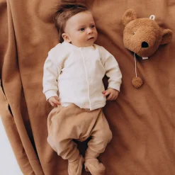 Teddy Spieluhr
