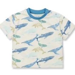 T-Shirt "Wale" natur-blau 74