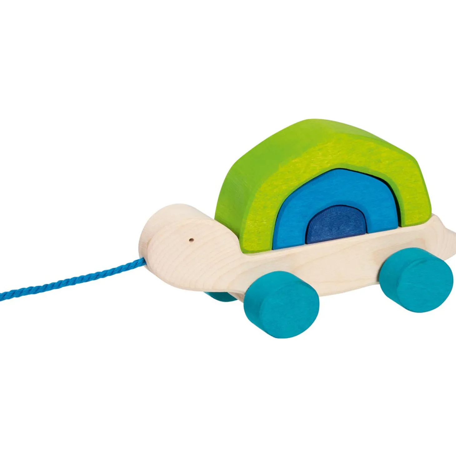 Ziehtier Schildkröte "Tortuga"